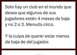 Enlace a Lo son, lo son