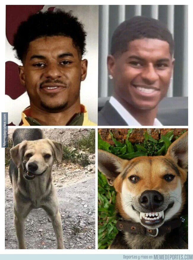 1226653 - La sonrisa de Rashford