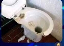 Enlace a Veo la Bombonera en todos lados