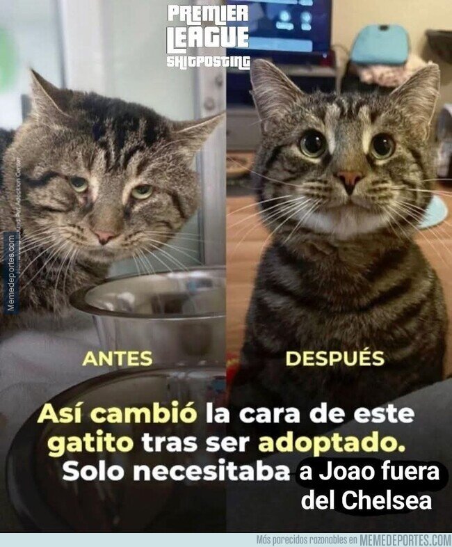 1226916 - El fichaje que hizo al mundo un lugar mejor