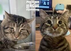 Enlace a El fichaje que hizo al mundo un lugar mejor