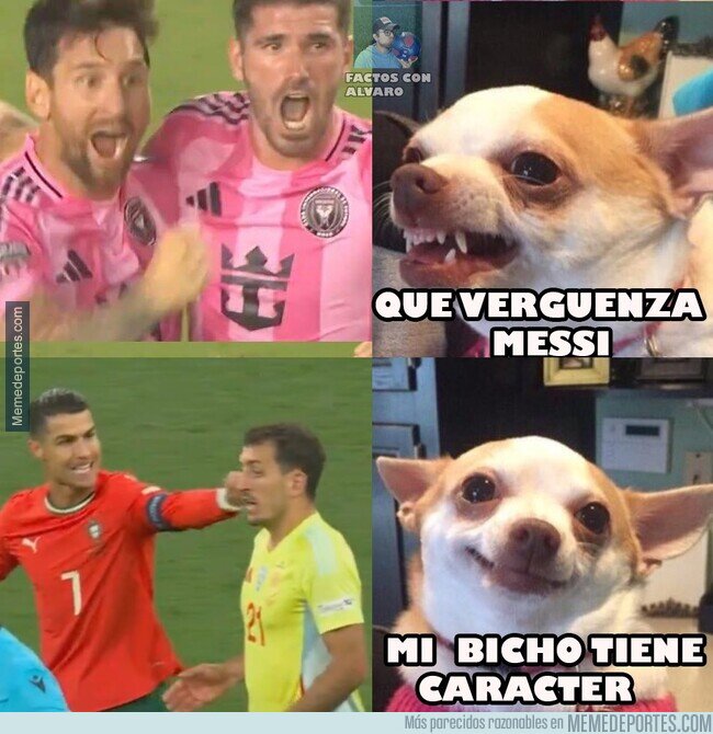 1227052 - Siempre es gracioso donde pintamos la raya