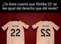 Enlace a Camiseta capicua