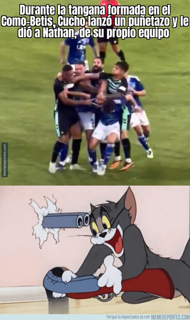 1227384 - Tan confusos que se hieren a sí mismos