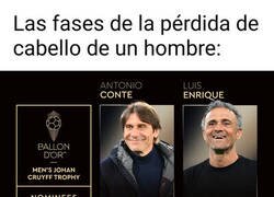 Enlace a ¿En qué fase estás tú?