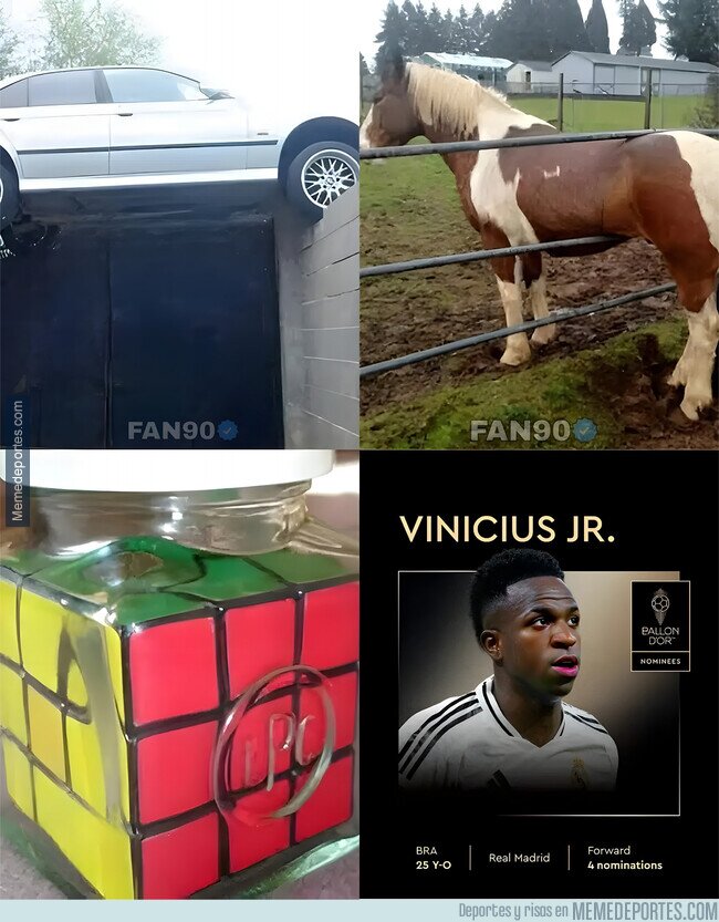 1227489 - Nadie sabe cómo llegaron allí