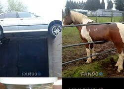 Enlace a Nadie sabe cómo llegaron allí