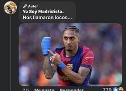 Enlace a Como avispero alborotado