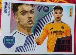 Enlace a ¿Qué nos quieres decir, Panini?