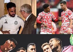 Enlace a Cuando crees que les puedes aportar algo a los más grandes