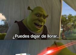 Enlace a Están completamente desatados