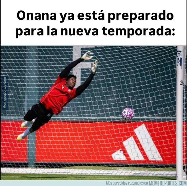 1227703 - Ya está a su nivel de siempre