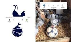 Enlace a Yo no entiendo a estos equipos