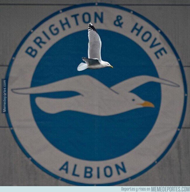 1228008 - Timming perfecto