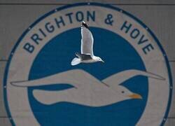 Enlace a Timming perfecto