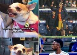 Enlace a Siempre habrá una justificación disponible para Vinicius