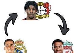 Enlace a Se han rotado los laterales