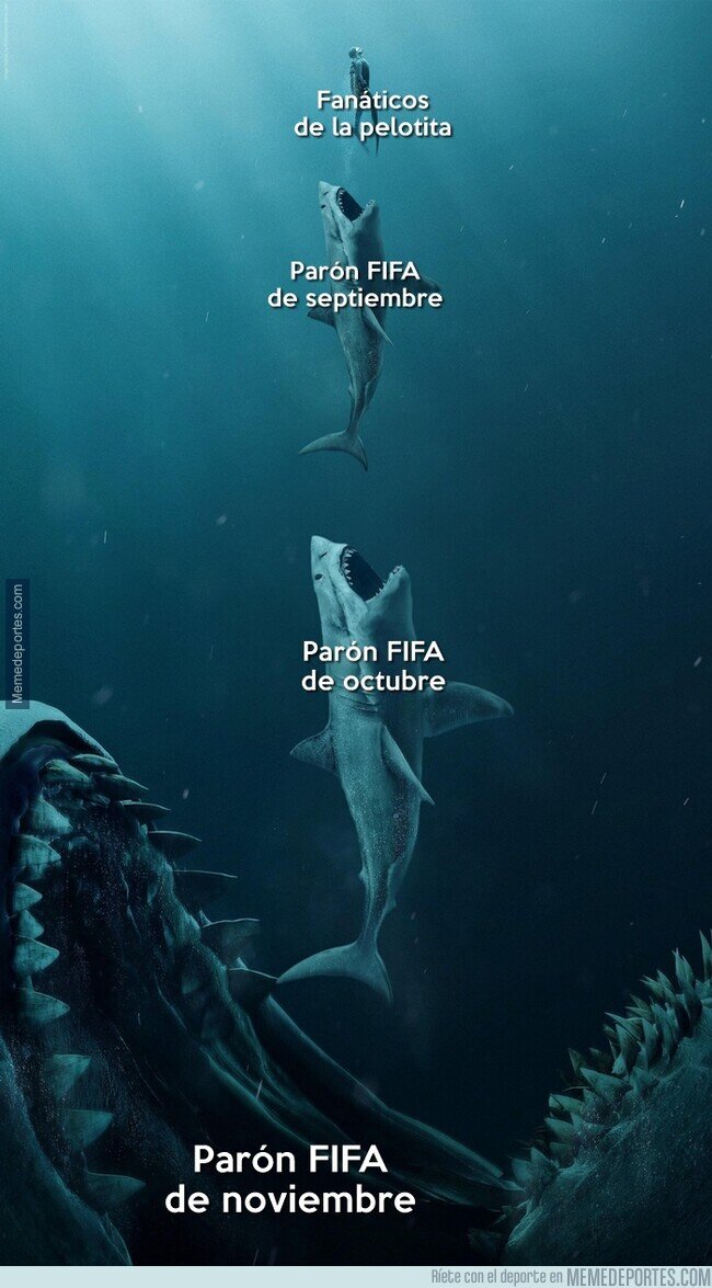 1229062 - Se vienen 3 parones de selección en 3 meses seguidos