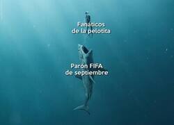 Enlace a Se vienen 3 parones de selección en 3 meses seguidos