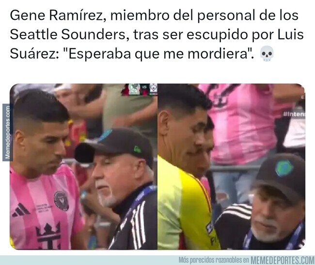 1229113 - Eso no me lo esperaba de Luis...
