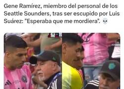 Enlace a Eso no me lo esperaba de Luis...