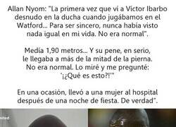 Enlace a Si yo leí esta barbaridad, no lo voy a hacer solo