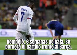 Enlace a Adiós al duelo del morbo