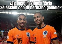 Enlace a Dos gemelos convocados con Países Bajos
