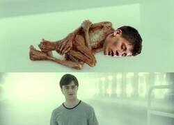 Enlace a Que mal le fue