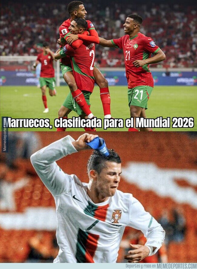 1229481 - Malas noticias para el Bicho