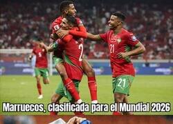 Enlace a Malas noticias para el Bicho