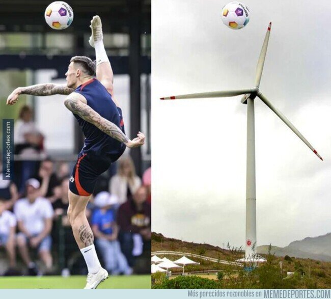 1229602 - ¿Quién lo haría mejor dentro del área?