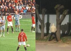 Enlace a Tengo cosas del bicho