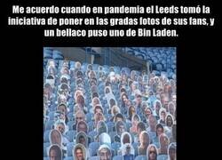 Enlace a Que genio, que animal.