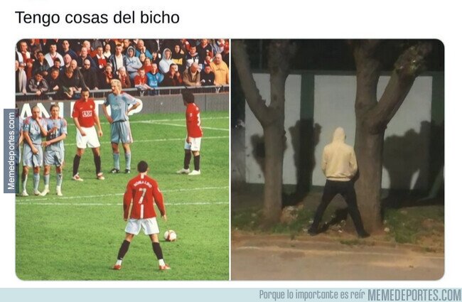 1230146 - Tengo cosas del Bicho