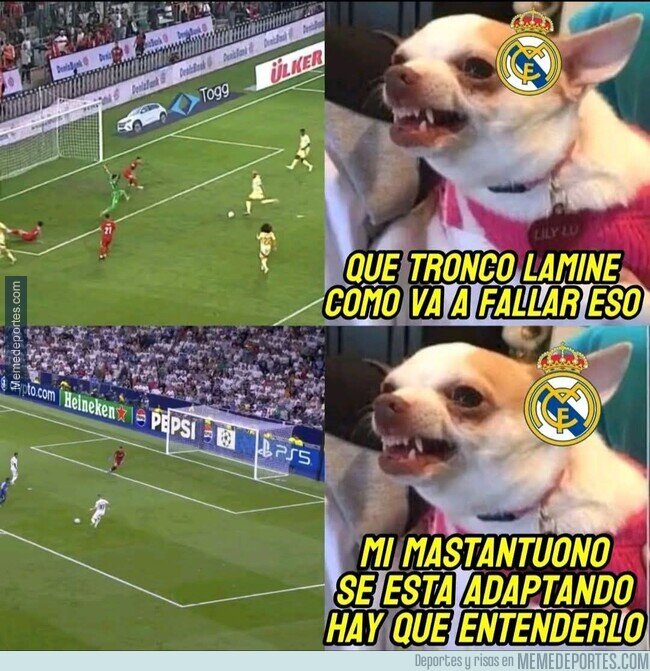 1230176 - Tiempo para Franco
