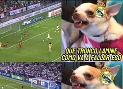 Enlace a Tiempo para Franco