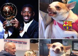 Enlace a Lo único positivo del Balón de Oro a Dembélé