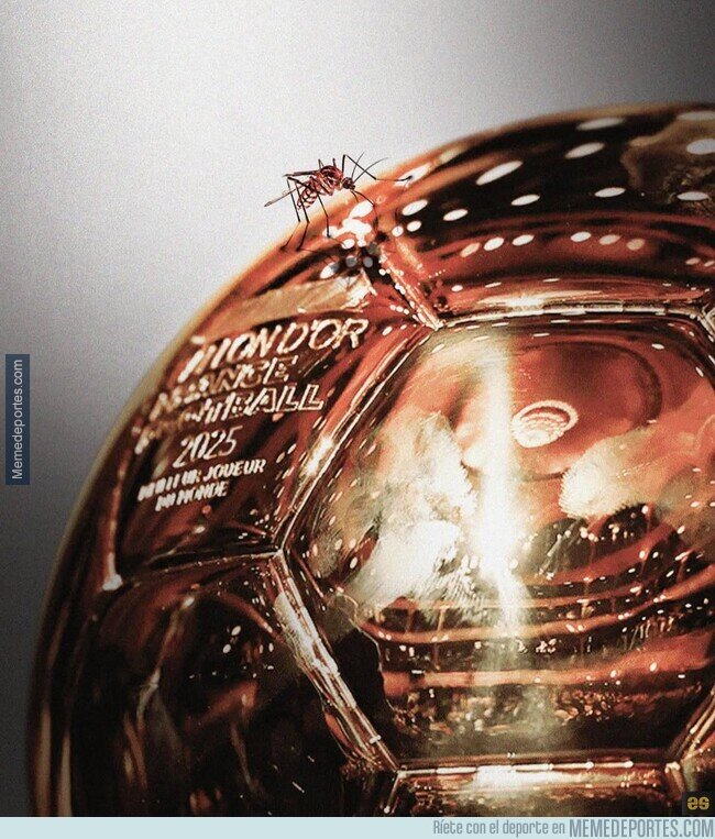 1230439 - El mosquito picó el Balón de Oro