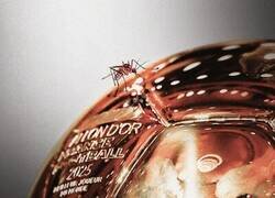 Enlace a El mosquito picó el Balón de Oro