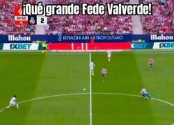 Enlace a Gran detalle del pajarito