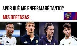 Enlace a Malito de defensas