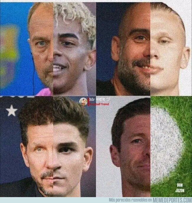 1231047 - Los mejores aliados de cada entrenador