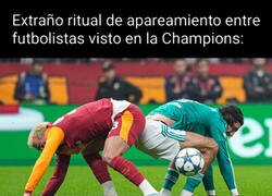 Enlace a Cosas de futbolistas supongo