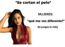 Enlace a Cuando te cortas el pelo