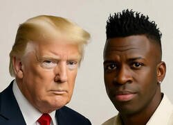 Enlace a Nobel de Playa