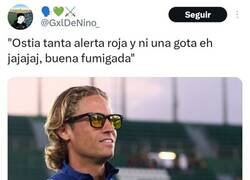 Enlace a Al final no hubo lluvia en Elche