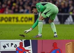 Enlace a Dios los cría...