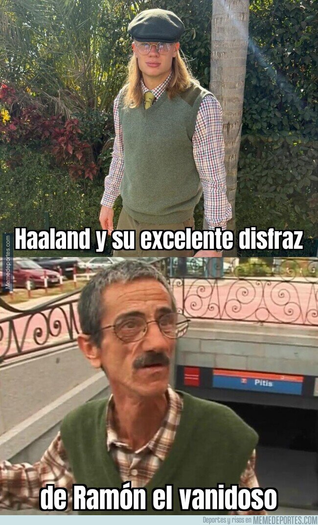 1231551 - Muy logrado