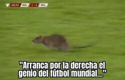 Enlace a Ratatatatata....